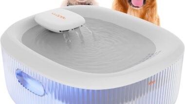 WOPET Large Dog Water Fountain, 205oz/6L - Best smart pet water dispensers : Reviews + Buying Guide