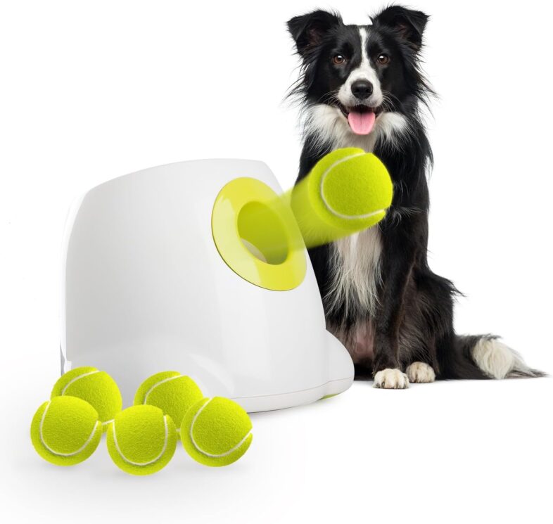 ALL FOR PAWS Automatic Ball Thrower for - Best Automatic Ball Launchers : Reviews + Buying Guide