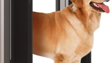 Pet Door, Large Dog Door for Exterior - Best Automatic Pet Doors : Reviews + Buying Guide