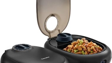 Automatic Cat Feeder,2-Meal Cat Food - Best Automatic Feeders : Reviews + Buying Guide